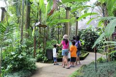 BALI ZOO Explorer ( with transfers and lunch) with optional Elephant Ride